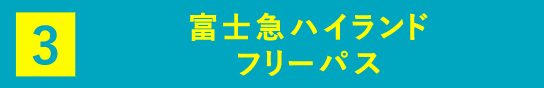 富士急ハイランド フリーパス